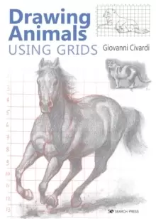 Image of Drawing Animals Using Grids