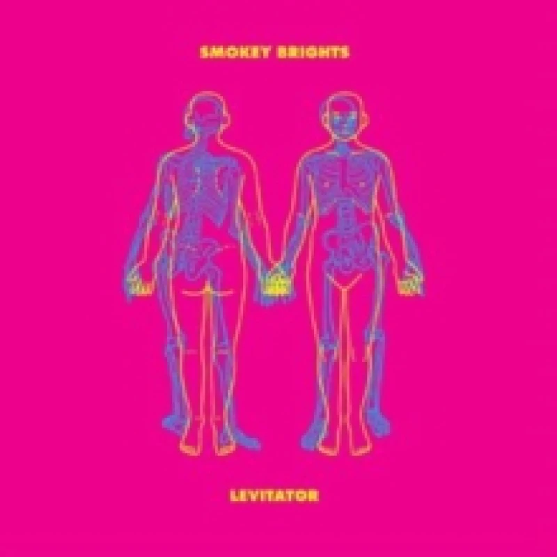 Image of Levitator Vinyl