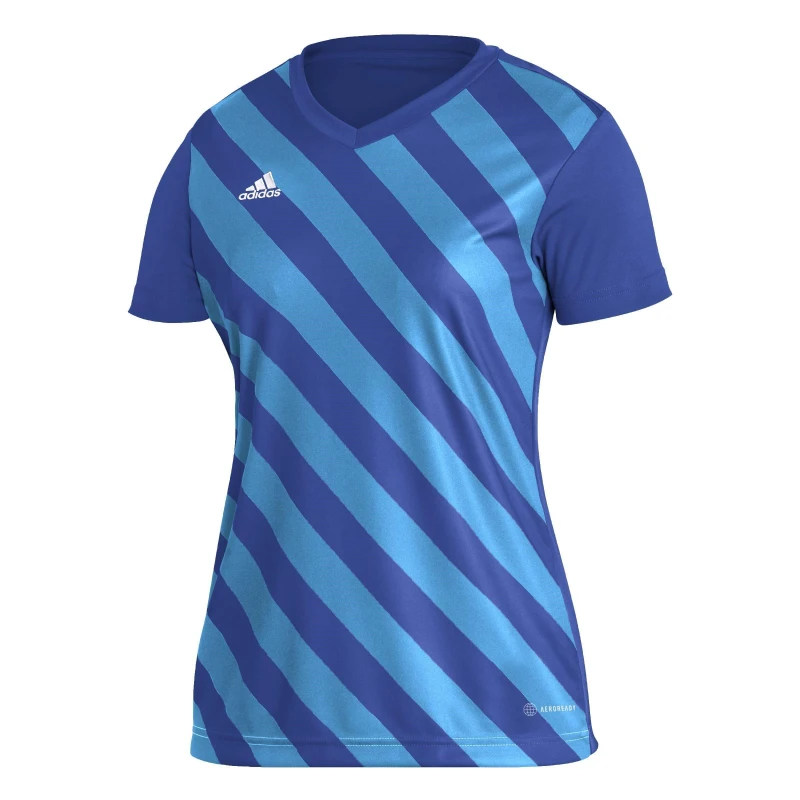 Image of adidas Entrada 22 Graphic Jersey T-Shirt Womens - Blue Blue XS