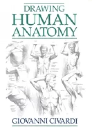Image of drawing human anatomy civardi giovanni