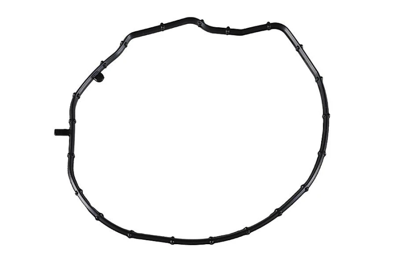 Image of Timing cover gasket METZGER 2430284