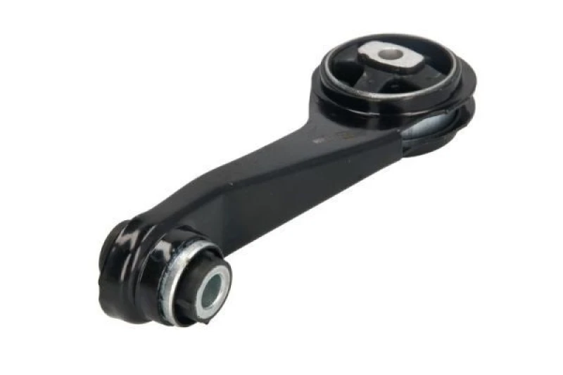 Image of REINHOCH Holder, engine mounting REINHOCH RH11-2187