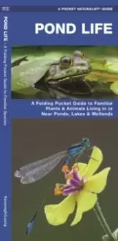 Image of Pond Life : A Folding Pocket Guide to Familiar Plants & Animals Living in or Near Ponds, Lakes & Wetlands