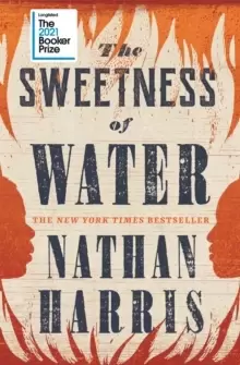 Image of The Sweetness of Water : Longlisted for the 2021 Booker Prize
