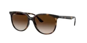 Image of Ray-Ban Sunglasses RB4378 710/13