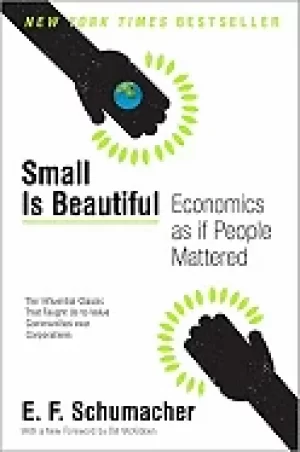 Image of small is beautiful economics if people mattered