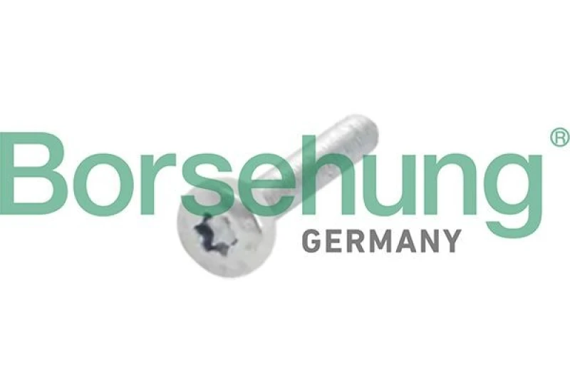 Image of Borsehung Screw, camshaft gear Borsehung B10634