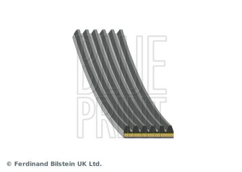 Image of Blue PRINT Serpentine belt Blue PRINT AD06A1805
