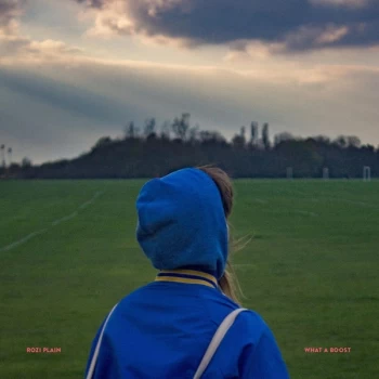 image of Rozi Plain - What A Boost Vinyl