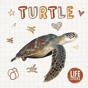 Image of Turtle Hardback 2018