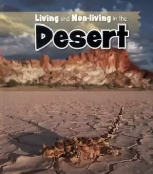 Image of Living and non-living in the desert by Rebecca Rissman
