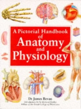 Image of A Pictorial Handbook of Anatomy and Physiology by James Bevan Paperback