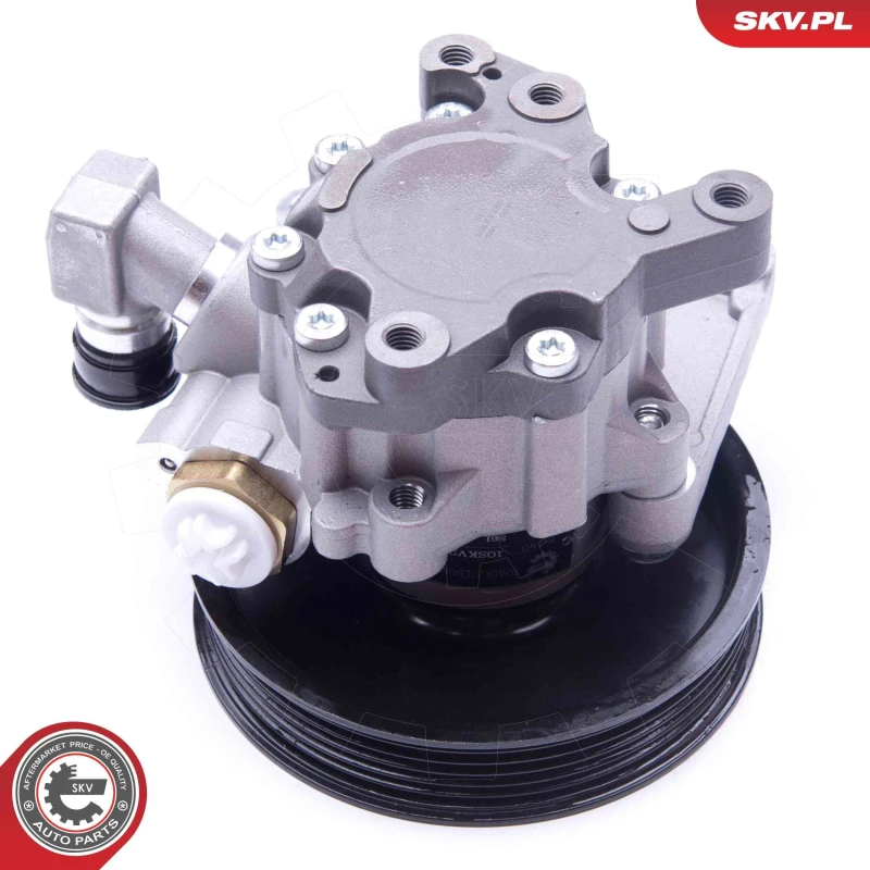 Image of ESEN SKV Power steering pump ESEN SKV 10SKV235
