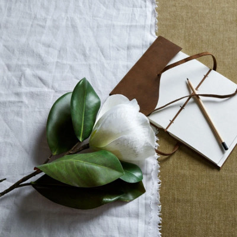 Image of White Magnolia Stem