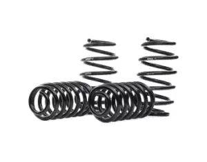 Image of EIBACH Suspension Kit, coil springs VW E10-85-016-04-22