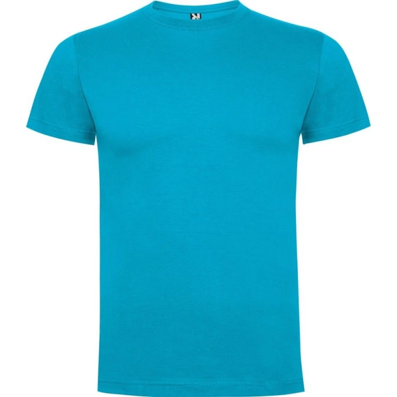Image of ROLY ROLY Men Dogo Premium T-Shirt in Turquoise Size: Small Turquoise S Male 5063574584029