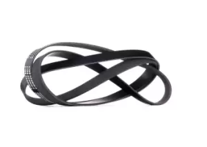 Image of RIDEX V-ribbed belt AUDI,MERCEDES-BENZ,OPEL 305P0216 06E903137AA,3032857AB,53032857AB 1854733,97130560,53012002,L33615909,L33615909A,L33615909B