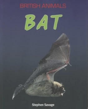 Image of Bat by Stephen Savage Paperback
