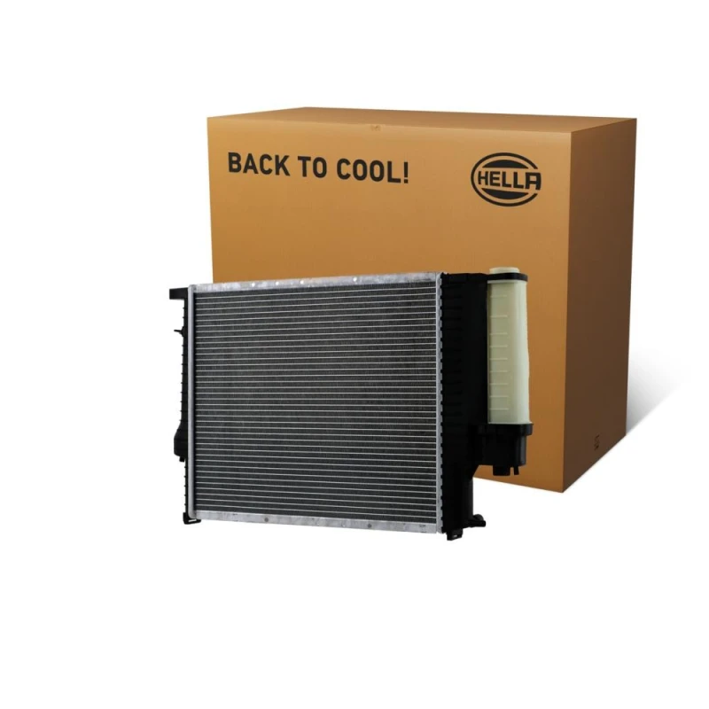 Image of HELLA Engine radiator HELLA 8MK 366 300-631