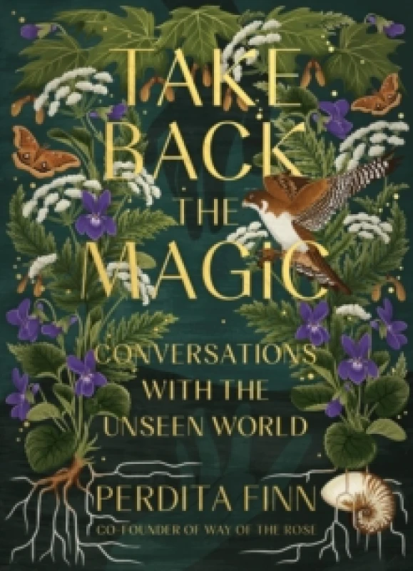 Image of take back the magic conversations with the unseen world 9780762482504