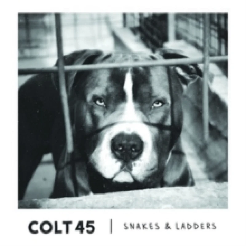 Image of Snakes & Ladders CD / EP