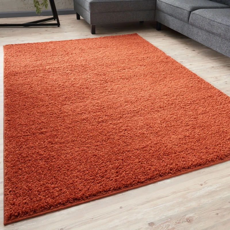 Image of THE RUGS Shaggy Rugs Terracotta Living Room Rug - Soft Fluffy Thick Carpet For Bedrooms & Kitchen Easy To Clean Home Decor Rugs Size: 80cm x 300 cm
