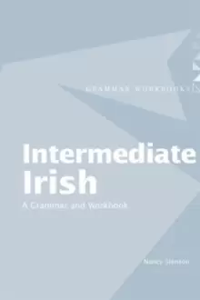 Image of Intermediate Irish: A Grammar and Workbook