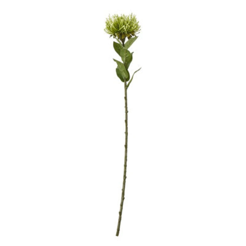 Image of Hill Interiors Protea Lorea Stem Artificial Plant Green (One Size)