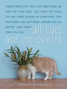 Image of All Cats Are Introverts