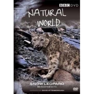 Image of Natural World Snow Leopard DVD