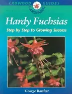 Image of hardy fuchsias step by step to growing success