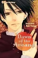 Image of Dawn of the Arcana, Vol. 3 by Rei Toma