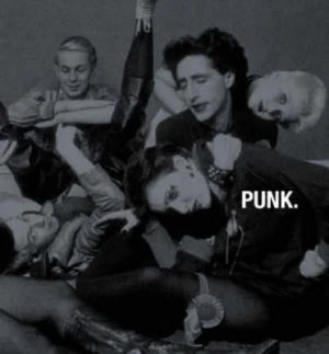 Image of Punk Hardback