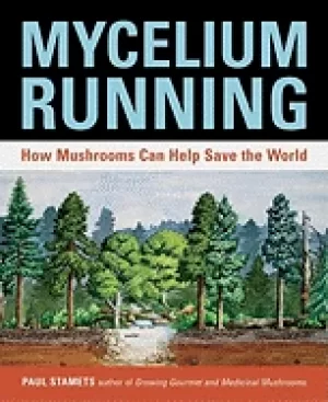 Image of mycelium running how mushrooms can help save the world