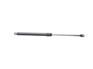 Image of RIDEX Tailgate strut BMW 219G0278 51248103118
