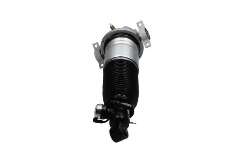 Image of KAVO PARTS SAS-10043 Air Spring Strut Rear Axle Right Air Spring Strut (4118)
