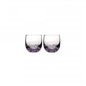 image of Denby Amethyst Small Tumbler Pack Of 2