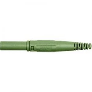 Image of Jack plug Plug straight Pin diameter 4mm Green Staeubli