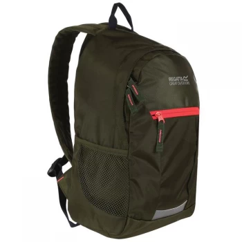 Image of Regatta Jaxon III 10L Backpack - Cypress/Diva