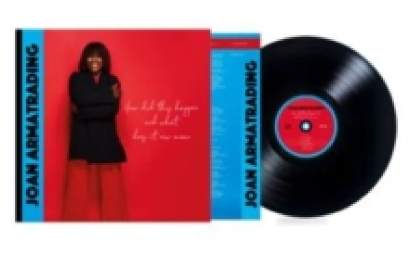Image of How Did This Happen and What Does It Now Mean Vinyl