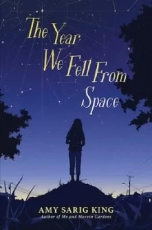 Image of The year we fell from space by A. S. King