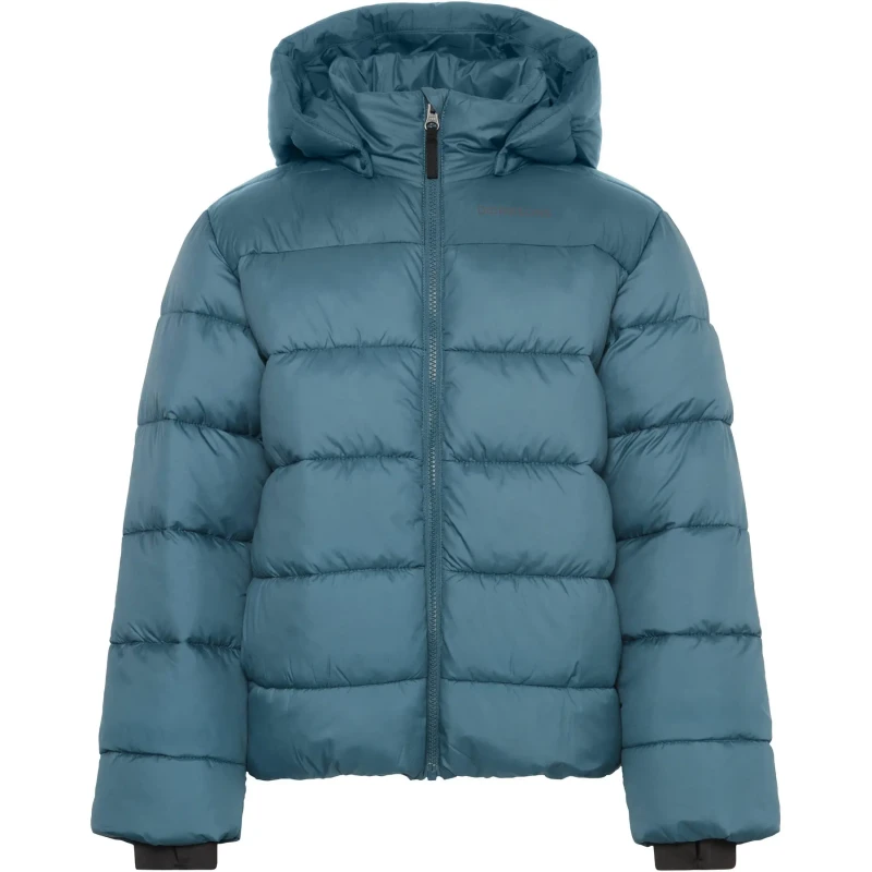 Image of Child Puffer jacket Didriksons Scoria Bleu Unisex 15/16 ans