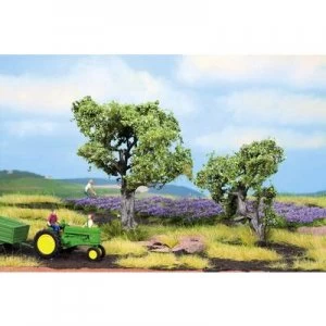 image of NOCH 21995 Tree set Olive tree 60 up to 90 mm 2 pc(s)