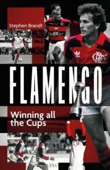 Image of Flamengo - Stephen Brandt - Hardback - Used