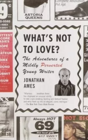 Image of Whats Not to Love? by Jonathan Ames