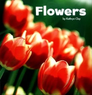 Image of Flowers by Kathryn Clay Book