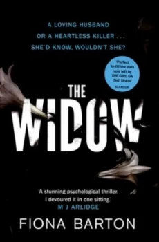 Image of The Widow by Fiona Barton Hardback
