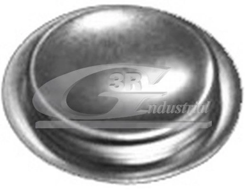 Image of 3RG Plug, rocker arm shaft mounting bore 3RG 84051