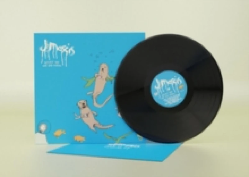 Image of What Do We Do Now Vinyl