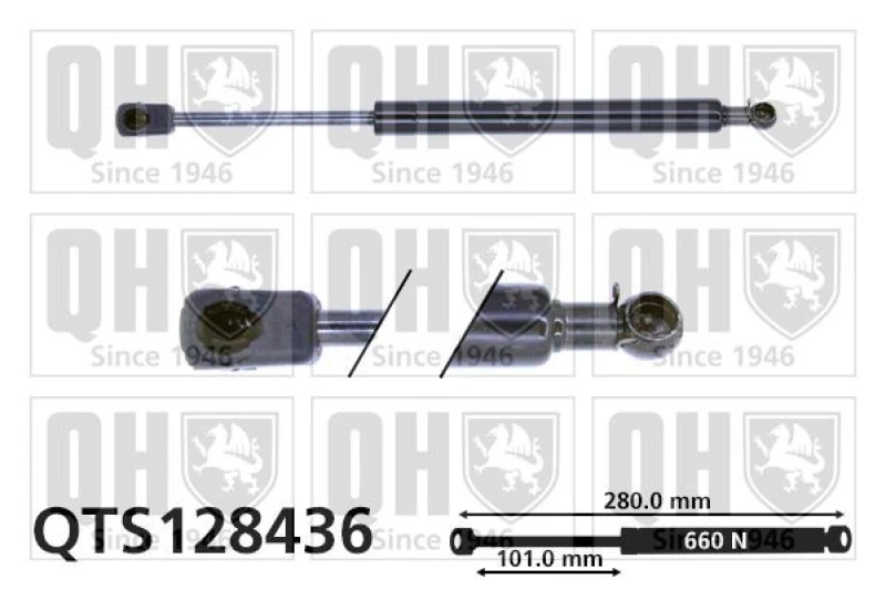 Image of QUINTON HAZELL Tailgate strut QUINTON HAZELL QTS128436